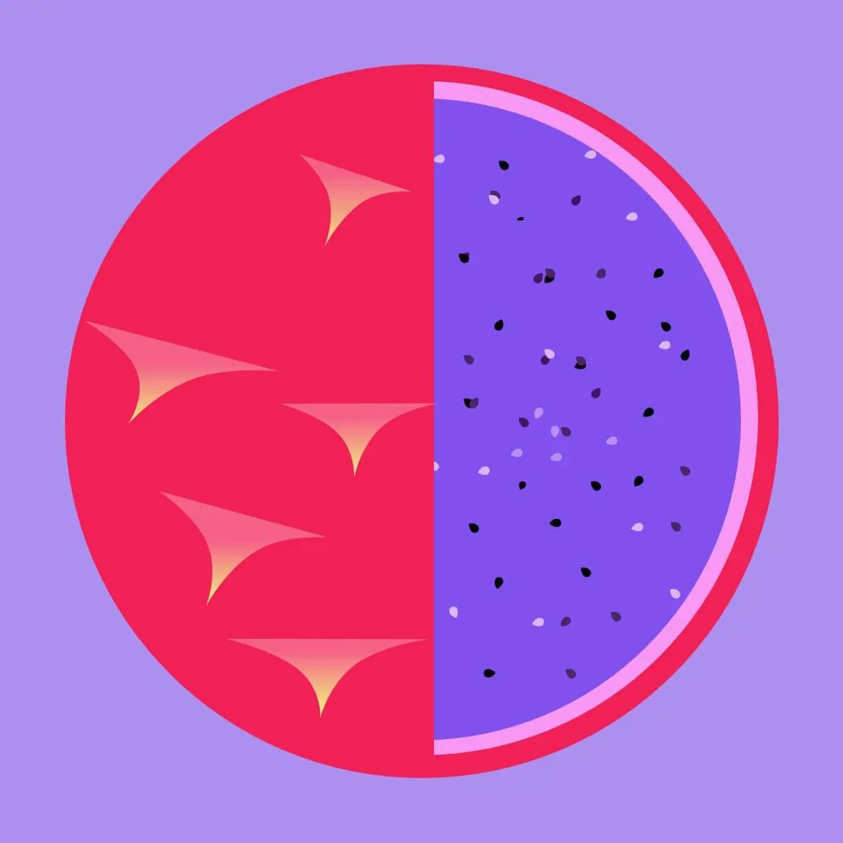 Dragonfruit — complementary hue contrast