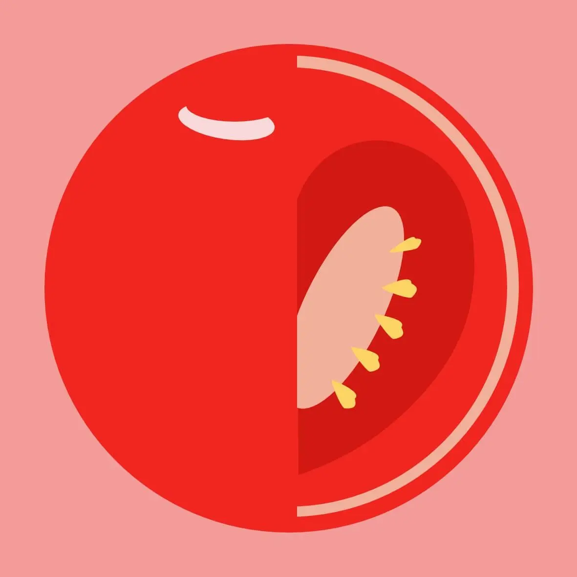 Tomato — analogous hue contrast