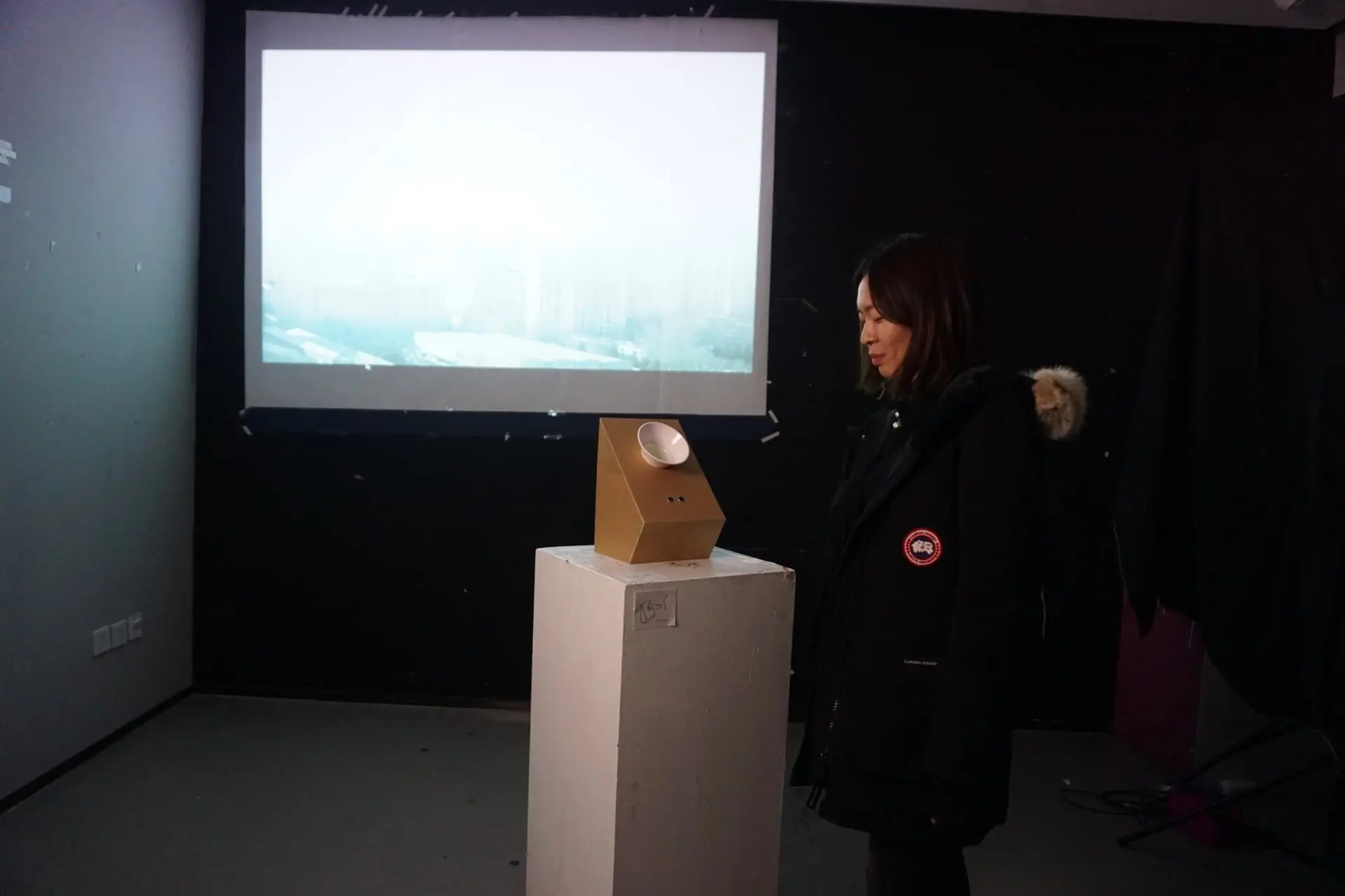 Visitor standing next to the device, smog projection on screen behind