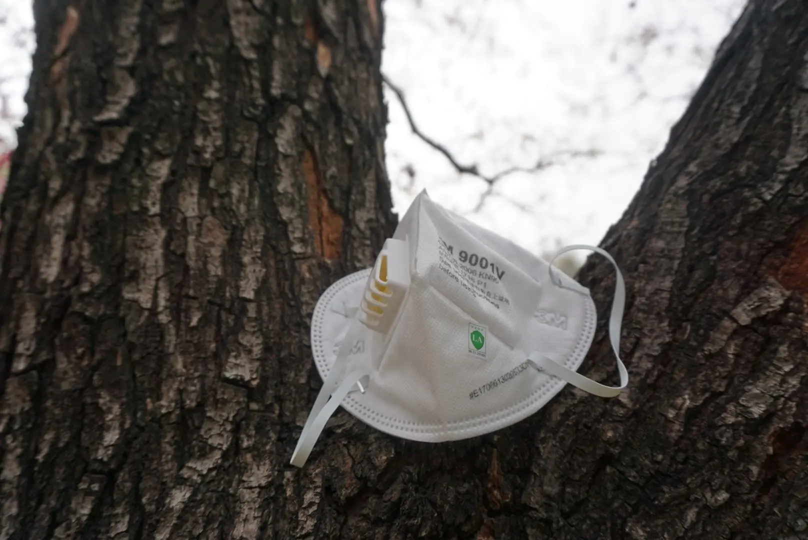 Mask placed on a tree trunk