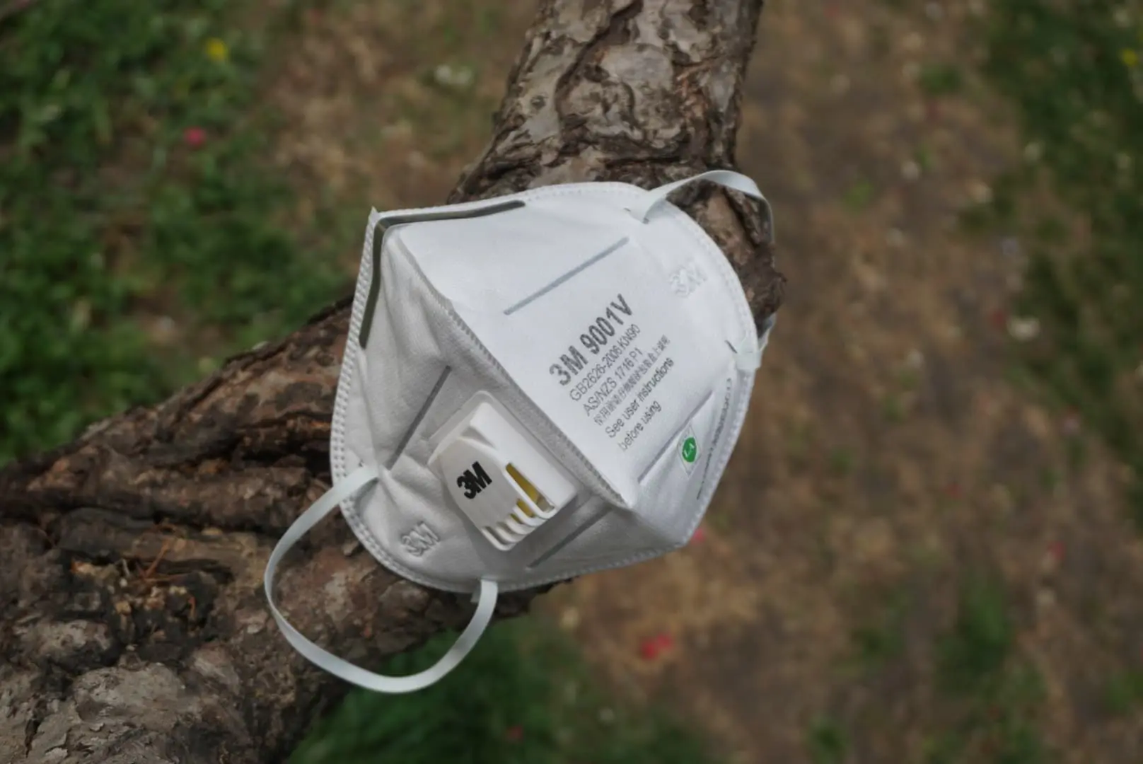 Plant wearing a pollution mask