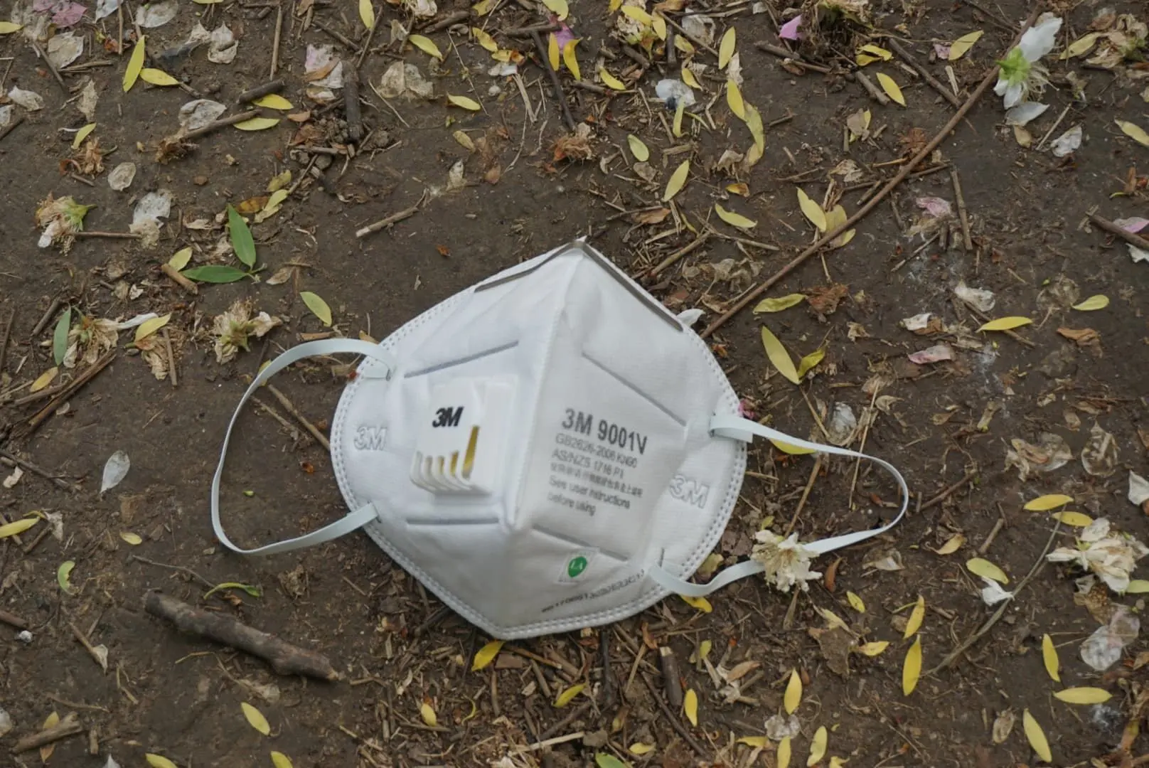 Mask on park vegetation