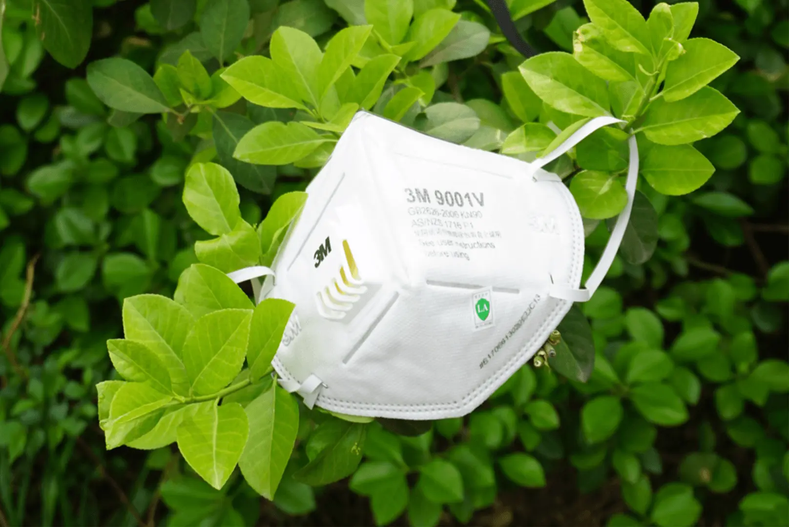Flowers with protective mask