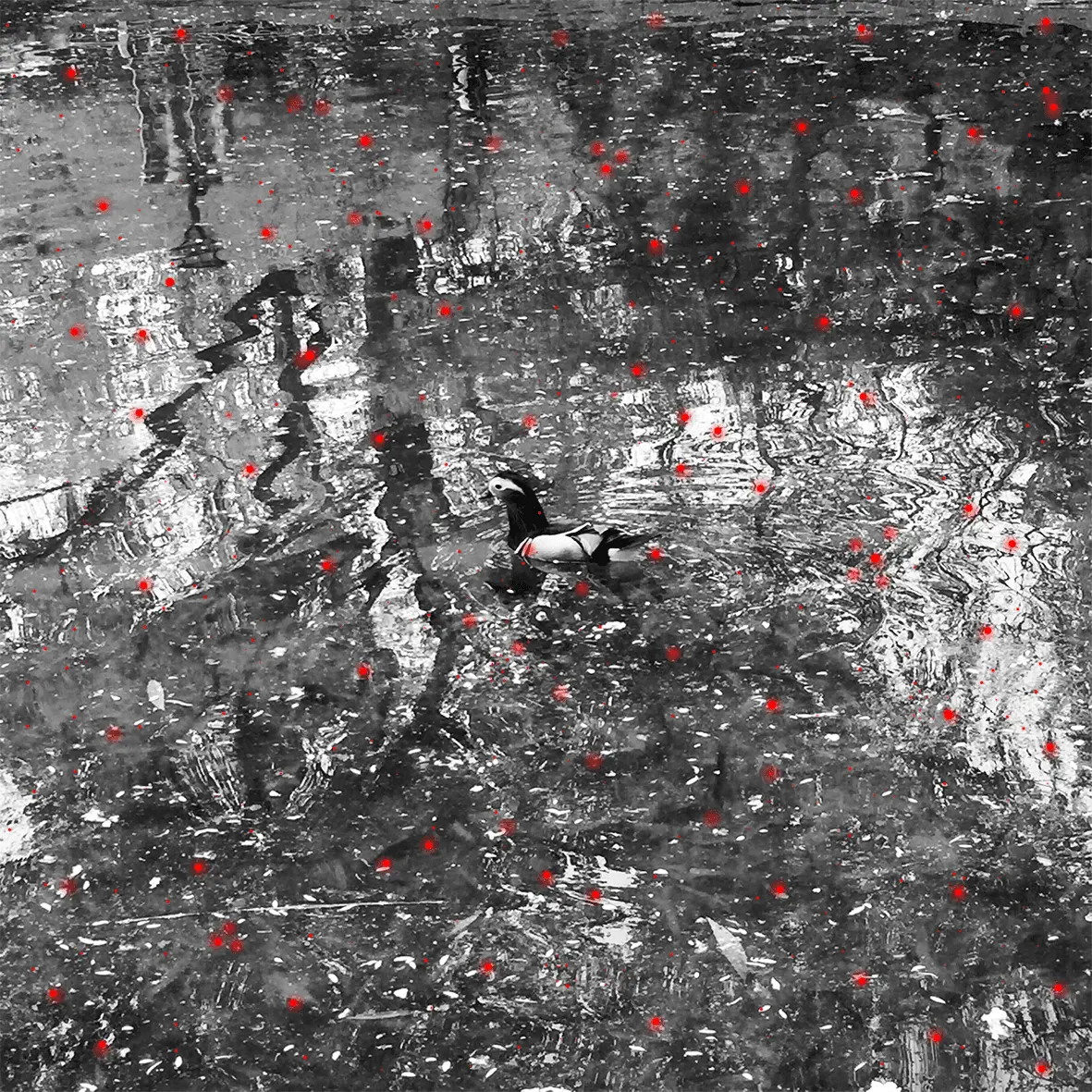 Dense foliage with red particle marks