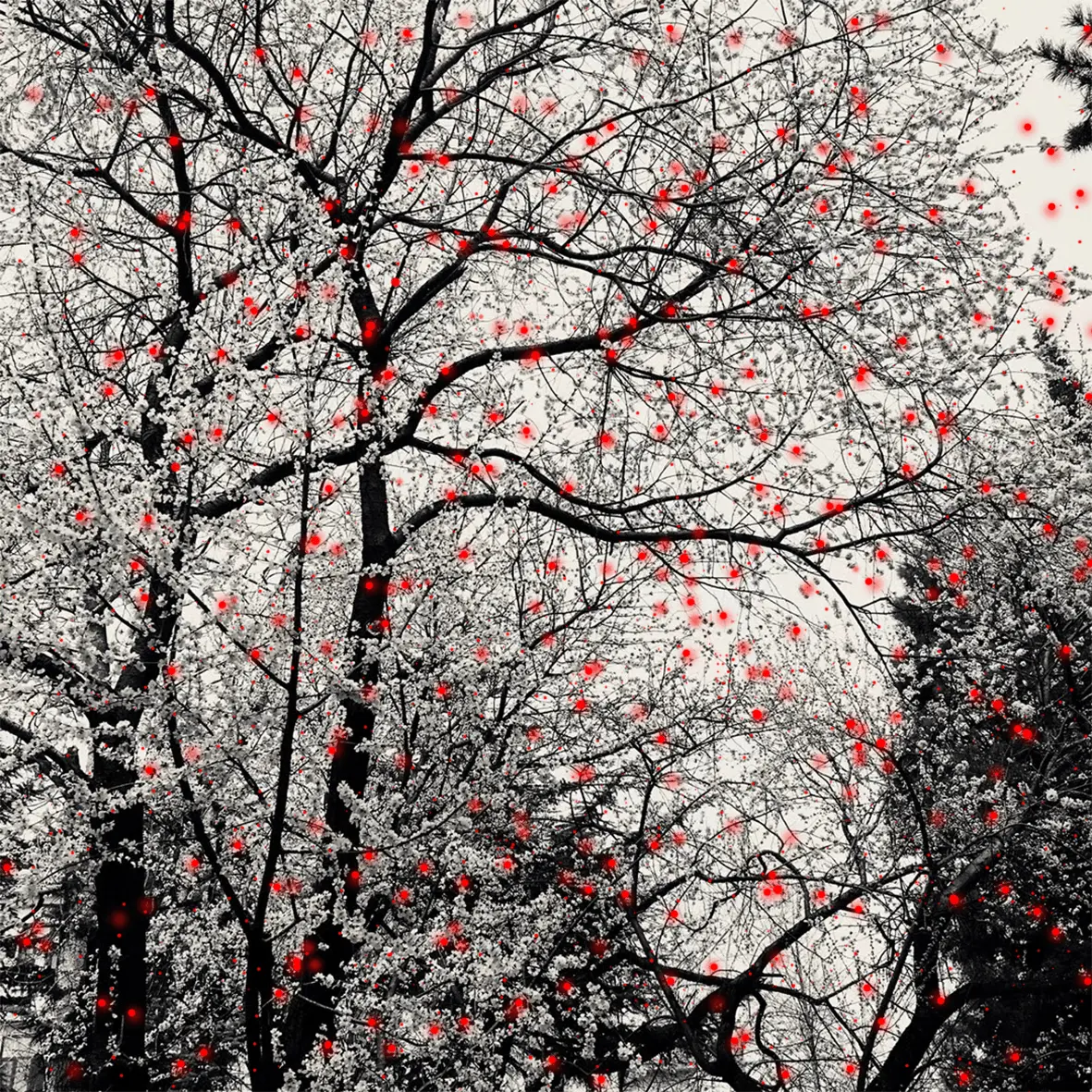 Pollution particles visualized on photograph